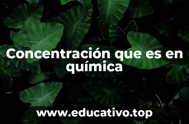 Concentración que es en química
