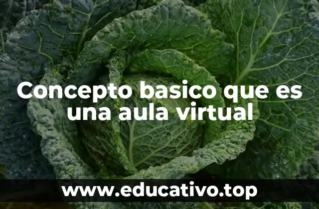 Concepto basico que es una aula virtual