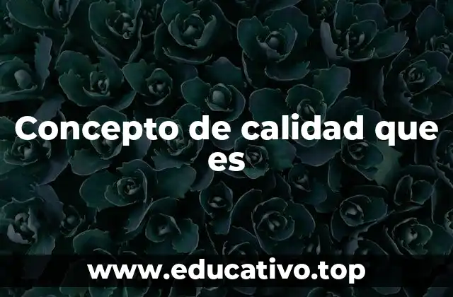 Concepto de calidad que es