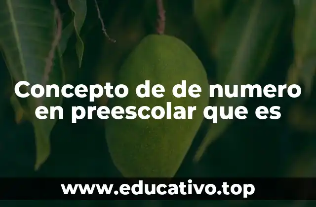 Concepto de de numero en preescolar que es