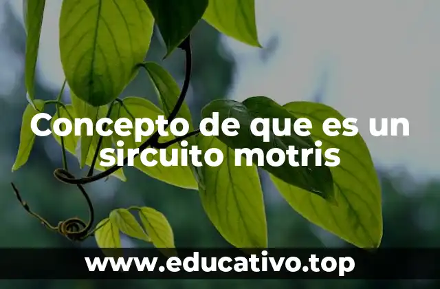 Concepto de que es un sircuito motris