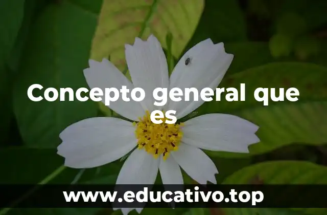 Cómo los conceptos generales estructuran el conocimiento