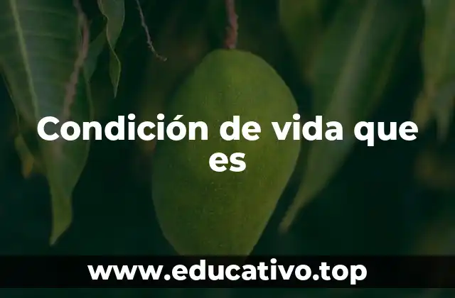 Condición de vida que es