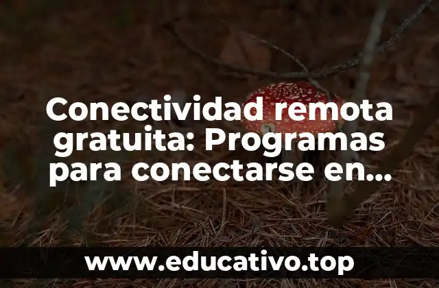 Conectividad remota gratuita: Programas para conectarse en remoto sin costos adicionales