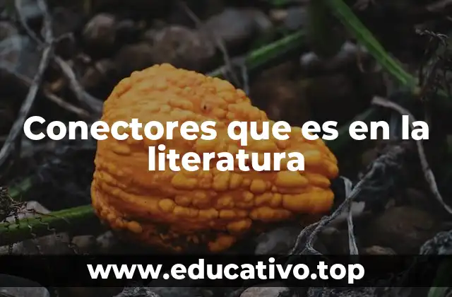 Conectores que es en la literatura