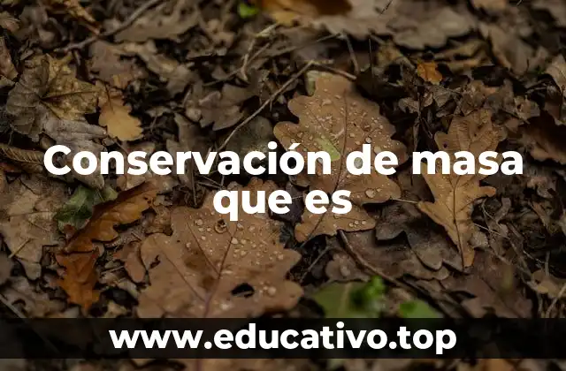 Conservación de masa que es