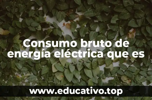 Consumo bruto de energía eléctrica que es