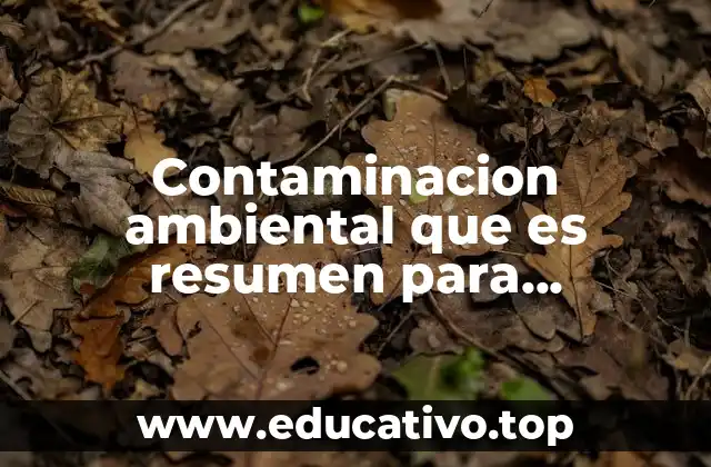 Contaminacion ambiental que es resumen para diapositiva
