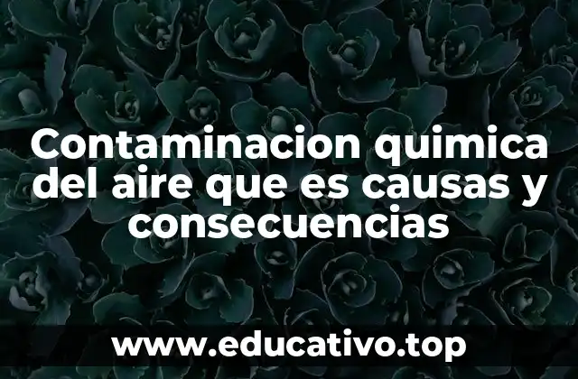 Origen y fuentes de la contaminación química del aire