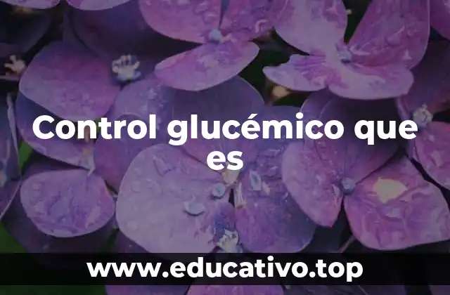 Control glucémico que es
