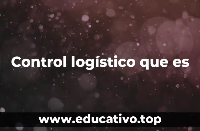 Control logístico que es