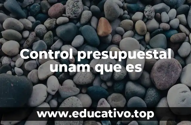 Control presupuestal unam que es