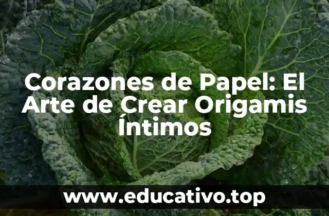 Corazones de Papel: El Arte de Crear Origamis Íntimos