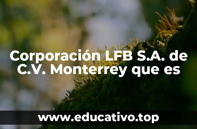 El contexto empresarial de Monterrey y su relación con LFB