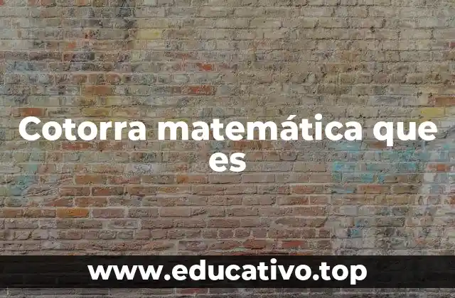 Cotorra matemática que es