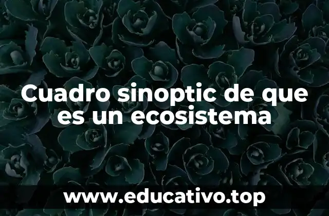 Cuadro sinoptic de que es un ecosistema