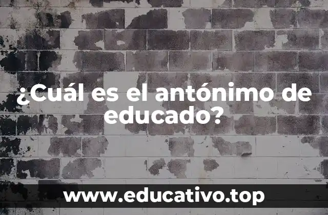 ¿Cuál es el antónimo de educado?