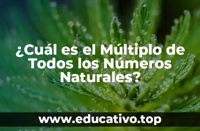 ¿Cuál es el Múltiplo de Todos los Números Naturales?