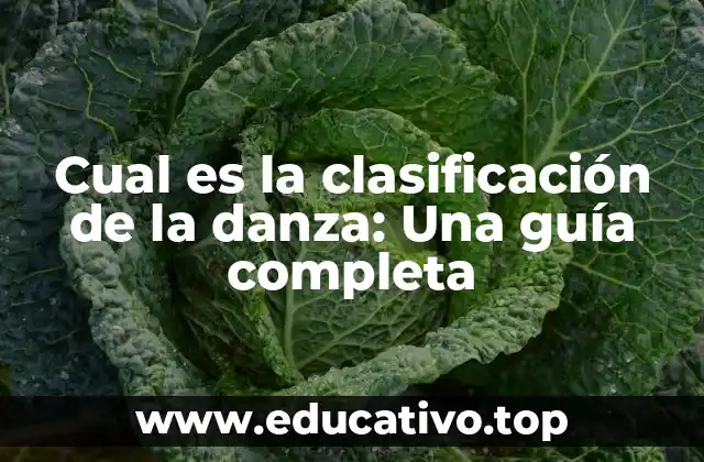 Cual es la clasificación de la danza: Una guía completa