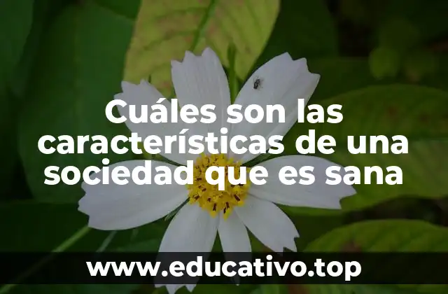 Cuáles son las características de una sociedad que es sana