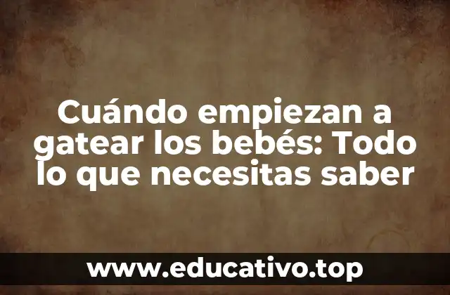 Cuándo empiezan a gatear los bebés: Todo lo que necesitas saber