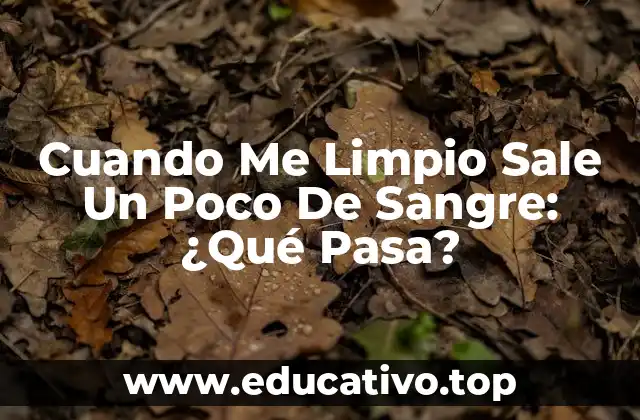 Cuando Me Limpio Sale Un Poco De Sangre: ¿Qué Pasa?