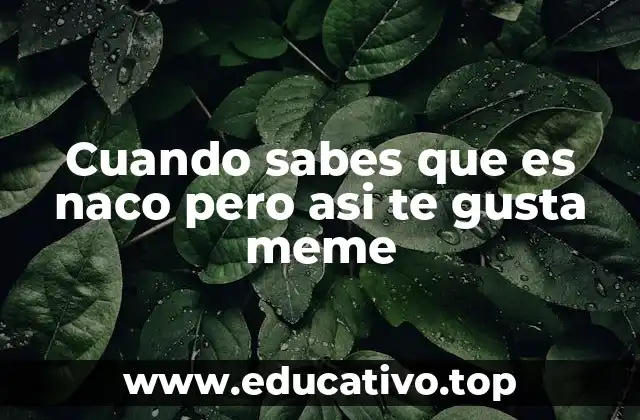 Cuando sabes que es naco pero asi te gusta meme