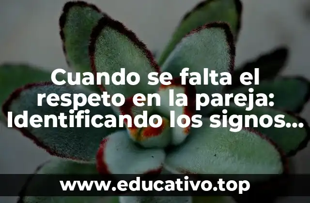 Cuando se falta el respeto en la pareja: Identificando los signos y soluciones