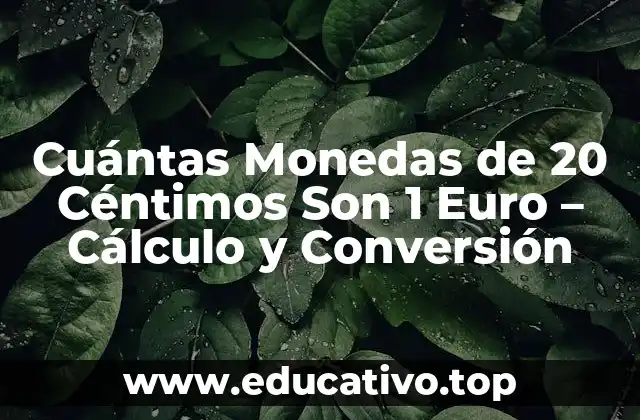 Cuántas Monedas de 20 Céntimos Son 1 Euro – Cálculo y Conversión