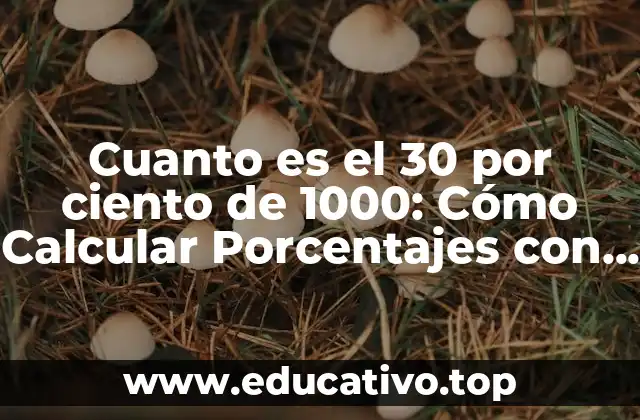 ¿Qué es un Porcentaje?