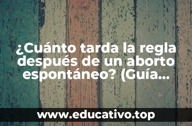 ¿Cuánto tarda la regla después de un aborto espontáneo? (Guía completa)