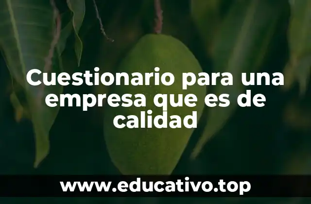 Cuestionario para una empresa que es de calidad