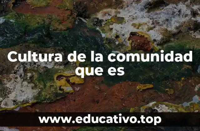 Cultura de la comunidad que es