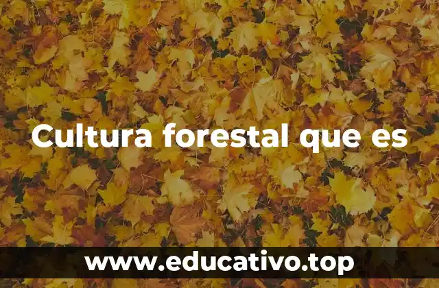 Cultura forestal que es