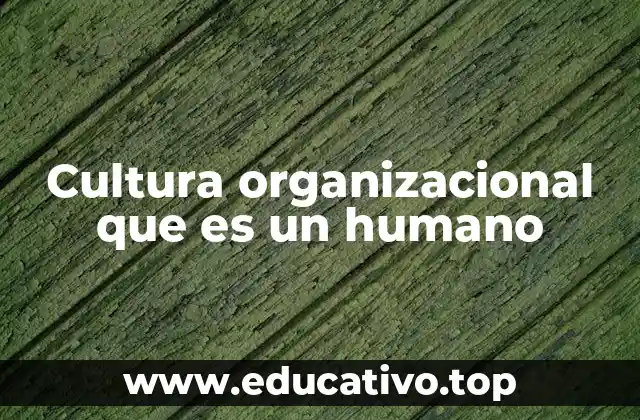 Cultura organizacional que es un humano