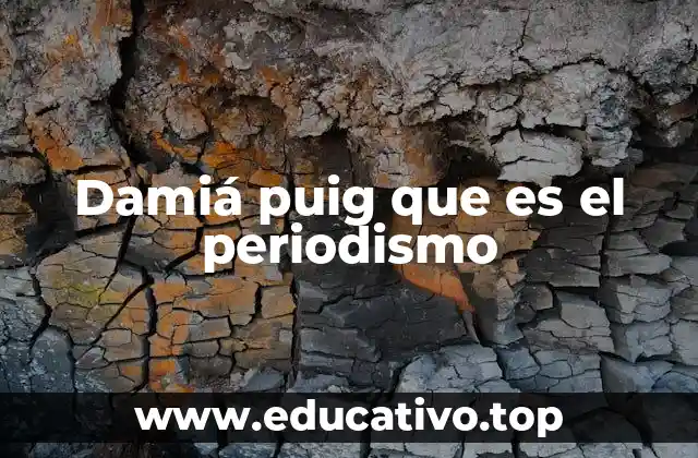 Damiá puig que es el periodismo