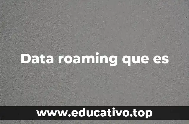 Data roaming que es