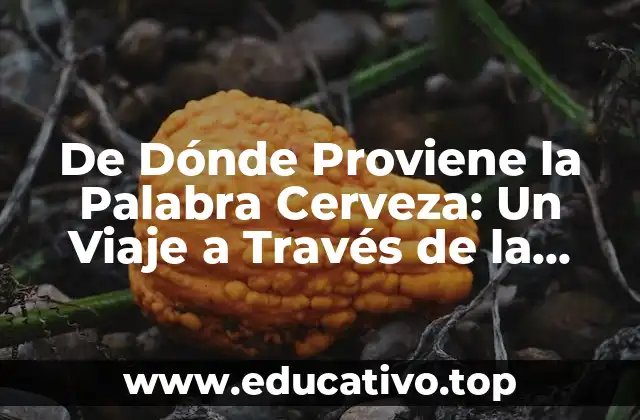De Dónde Proviene la Palabra Cerveza: Un Viaje a Través de la Historia