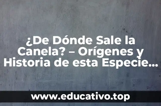 ¿De Dónde Sale la Canela? – Orígenes y Historia de esta Especie Aromática