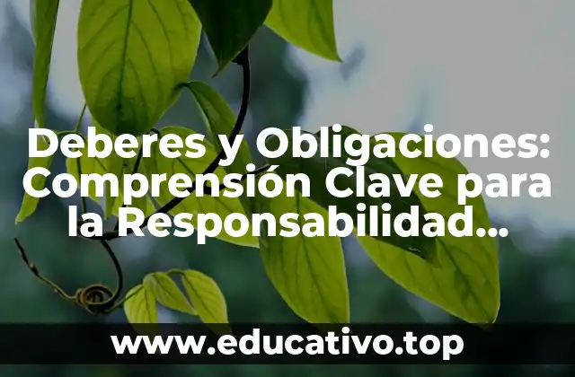 Deberes y Obligaciones: Comprensión Clave para la Responsabilidad Personal y Profesional