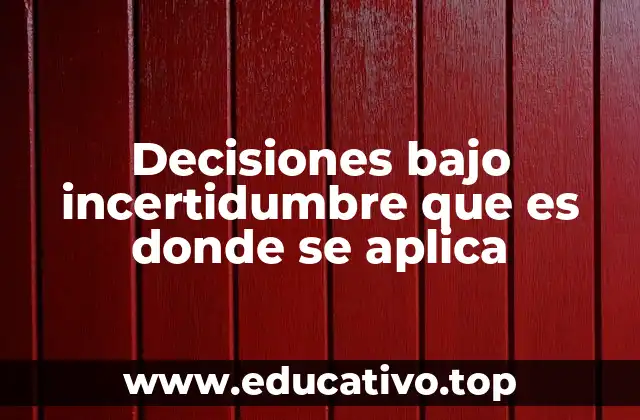 Decisiones bajo incertidumbre que es donde se aplica