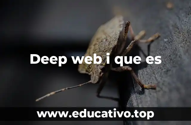 La deep web como una capa invisible del internet