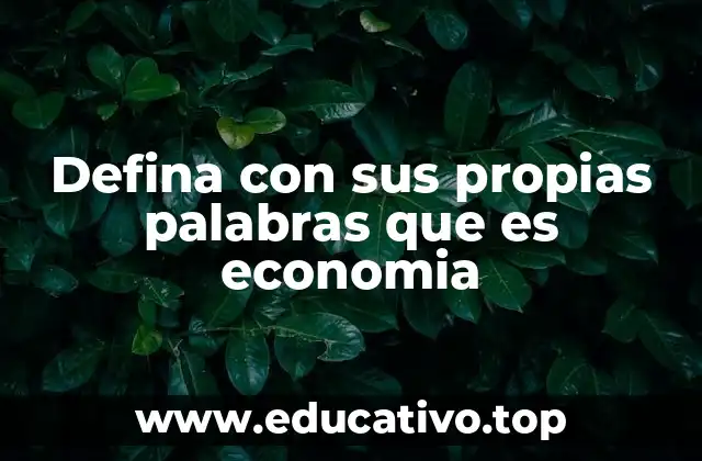 Defina con sus propias palabras que es economia