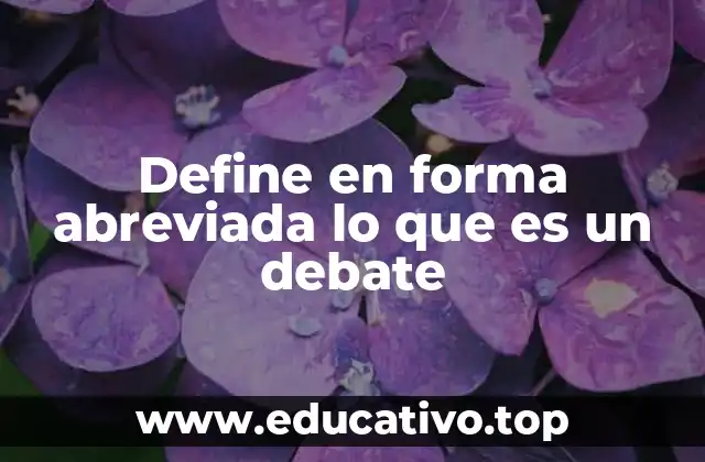 Define en forma abreviada lo que es un debate