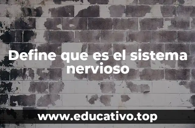 Define que es el sistema nervioso
