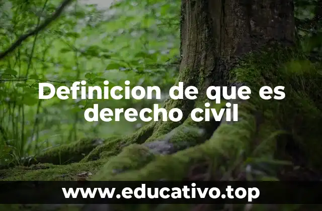 El papel del derecho civil en la sociedad actual