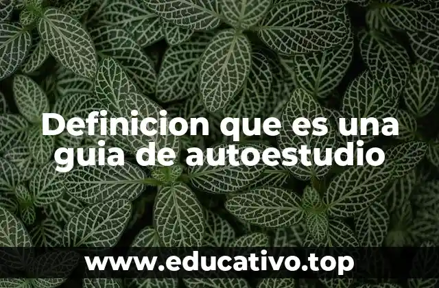 El poder de las guías para aprender sin supervisión directa