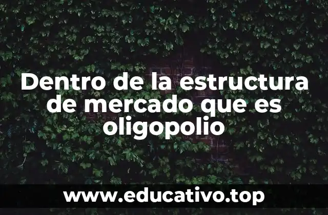 Dentro de la estructura de mercado que es oligopolio