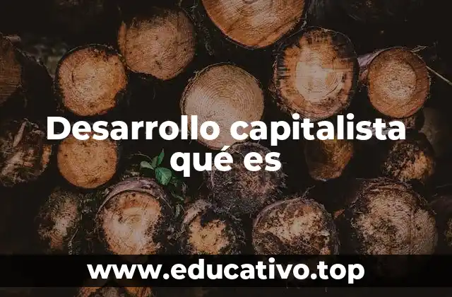 Desarrollo capitalista qué es