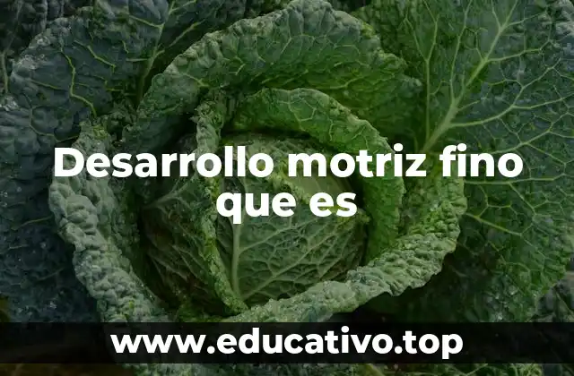Desarrollo motriz fino que es